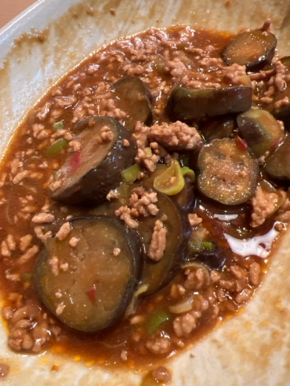ねぎ＆にんにく＆豚ミンチ肉入り、麻婆茄子！