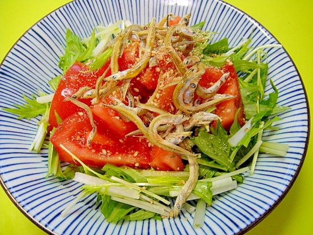 トマトと水菜小女子のごまポン酢サラダ