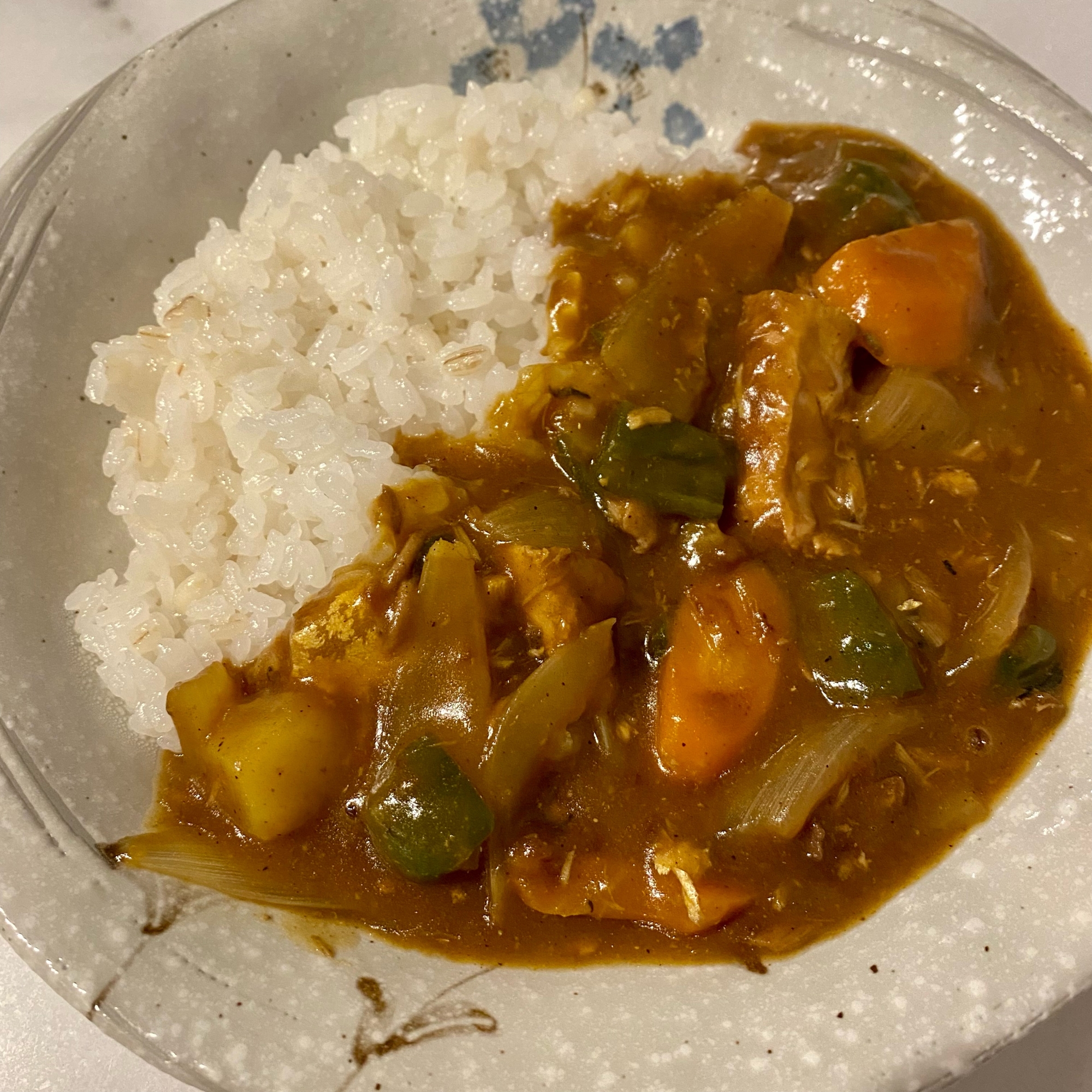 主夫がつくる缶詰で鯖カレー