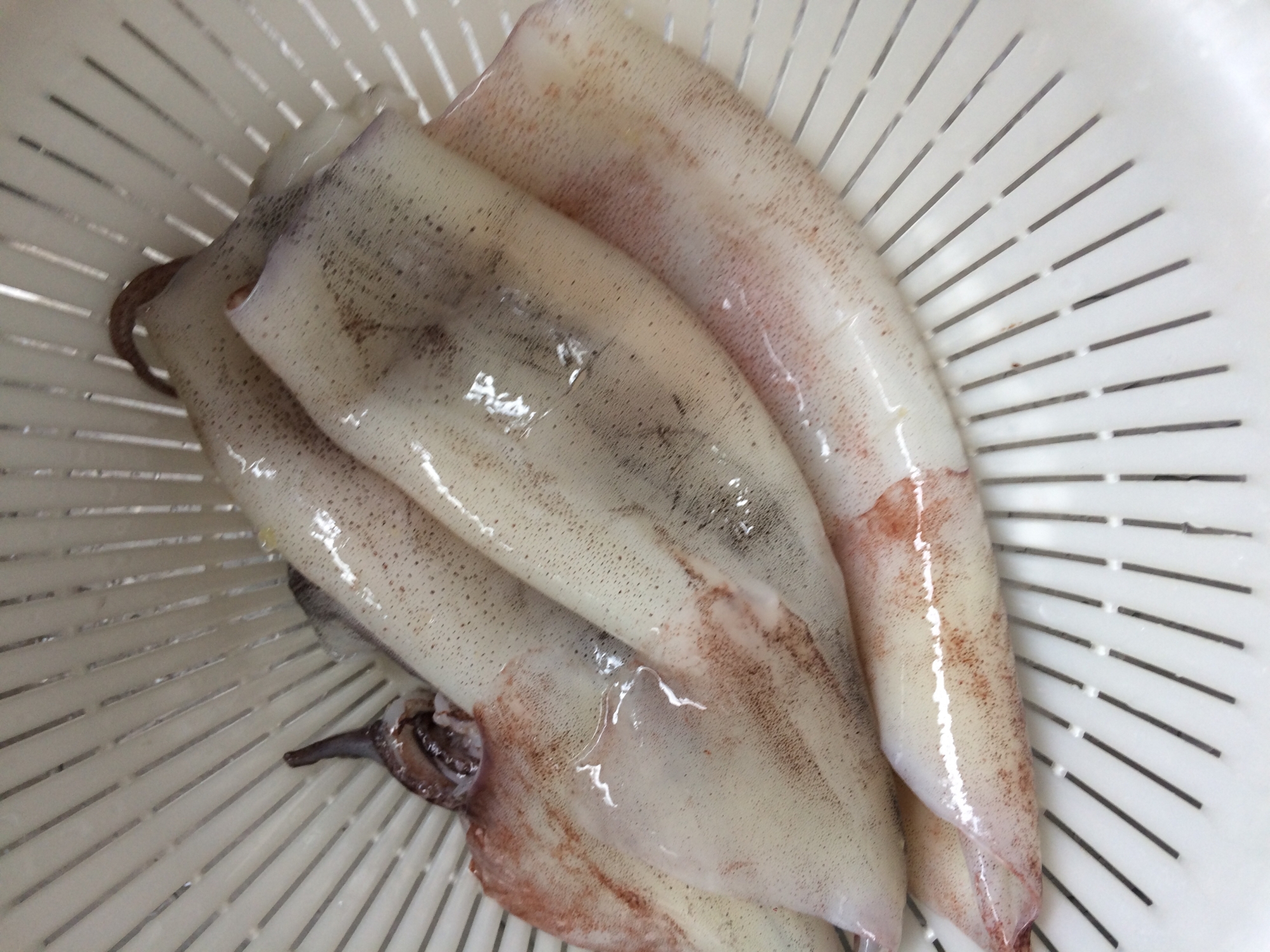 うちの下処理 いか レシピ 作り方 By おいしんぼ 楽天レシピ うちの下処理 いか レシピ 作り方 By おいしんぼ 楽天レシピ