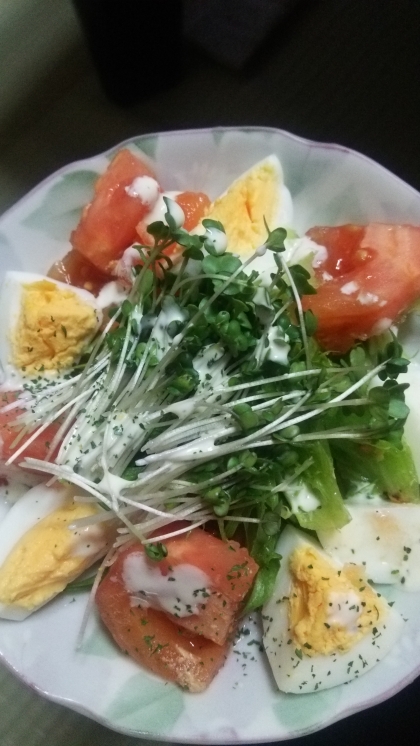 千切り野菜・ゆで卵・ミニトマト・スプラウトのサラダ