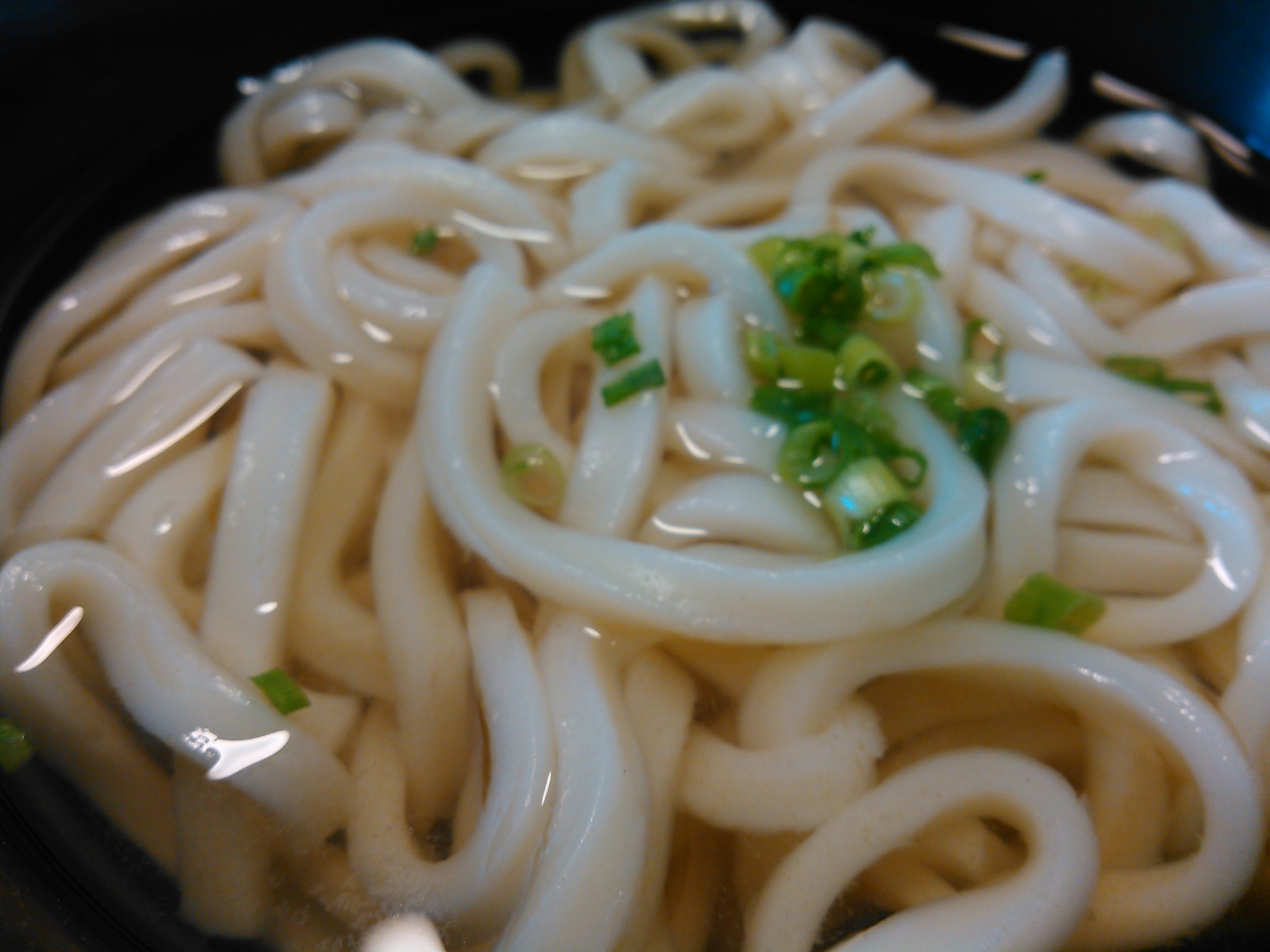 刻みネギ入りだしうどん