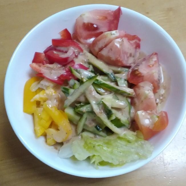 トマト・パプリカ・胡瓜・レタスのサラダ