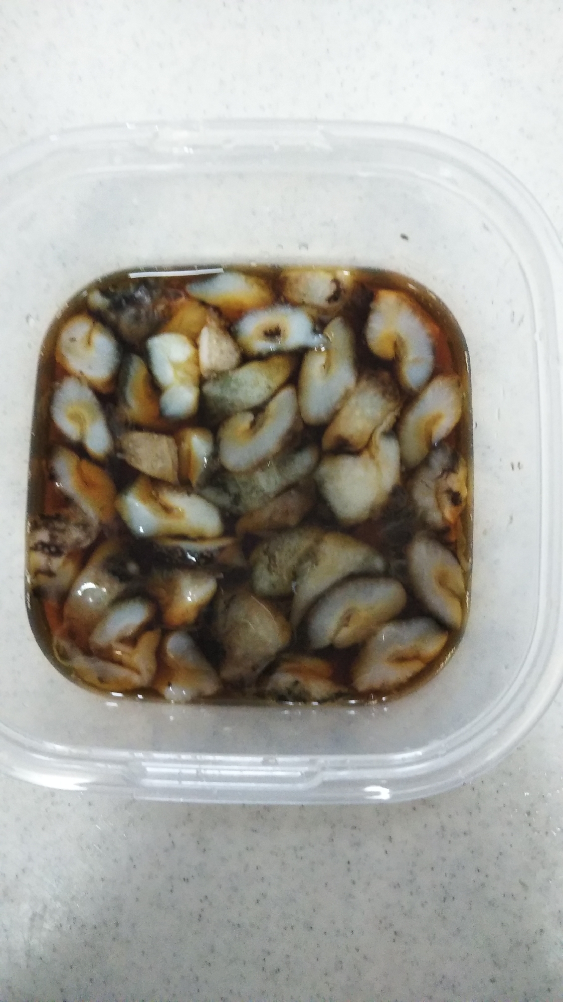 なまこ