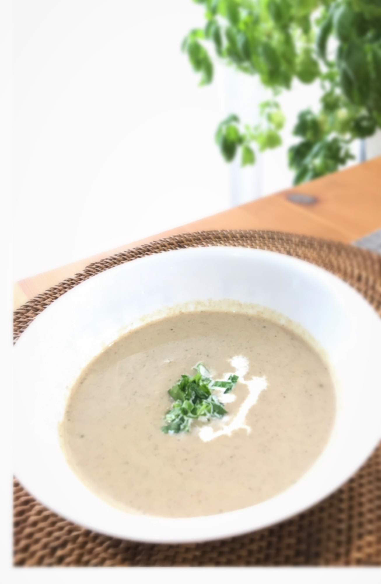 きのこのポタージュ ポルチーニ茸使用★