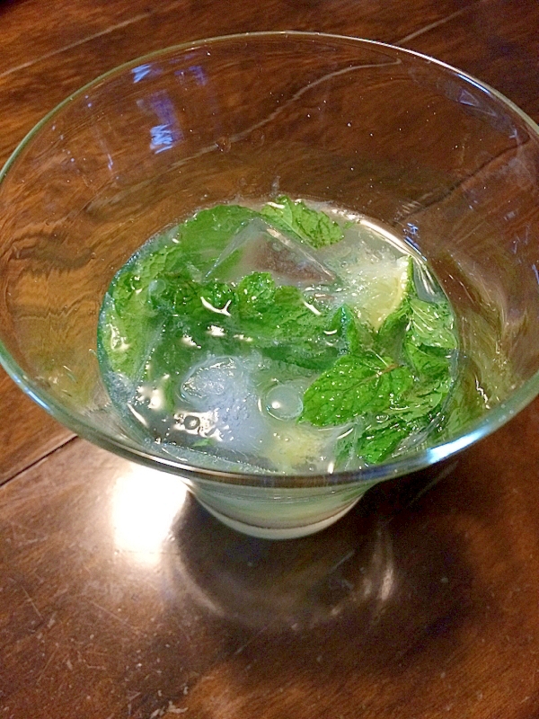 夏に ミントたっぷりモヒート レシピ 作り方 By きのこのみみ 楽天レシピ 夏に ミントたっぷりモヒート レシピ 作り方 By きのこのみみ 楽天レシピ