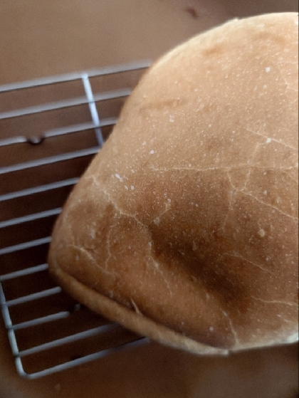 ホームベーカリーで作る⭐ヨーグルト入りライ麦食パン