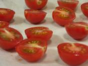 気候に左右されないドライトマト レシピ 作り方 By Camussblackboard 楽天レシピ 気候に左右されないドライトマト レシピ 作り方 By Camussblackboard 楽天レシピ