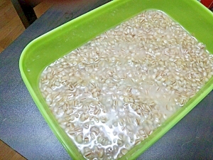 お肉に合う塩麹 レシピ 作り方 By もこまま 楽天レシピ お肉に合う塩麹 レシピ 作り方 By もこまま 楽天レシピ