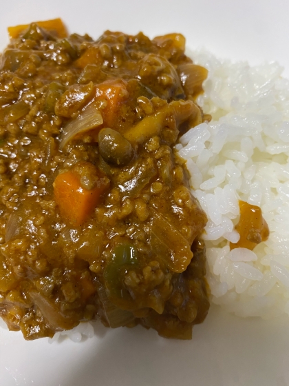 夏野菜ドライカレー/キーマカレー