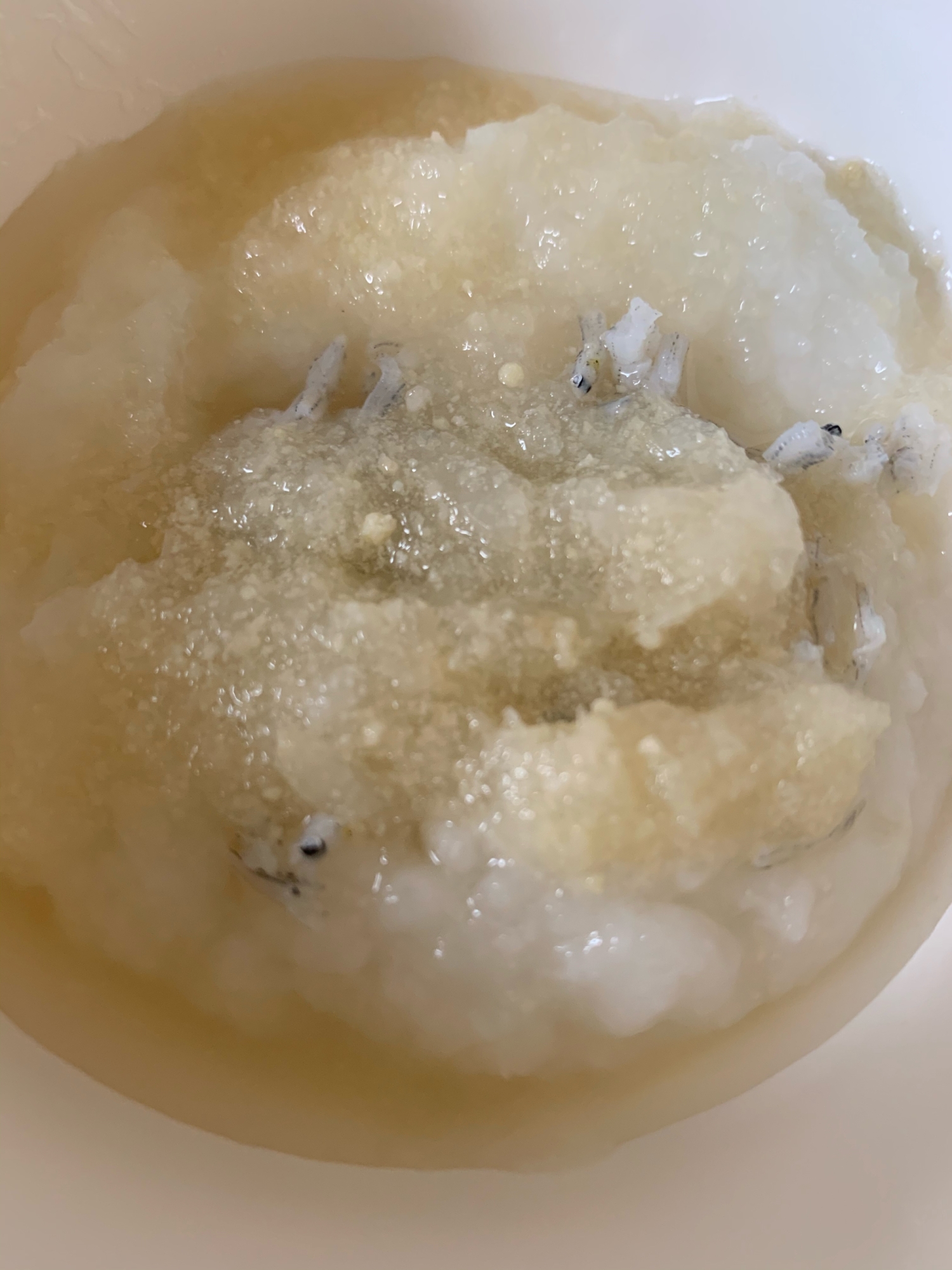 離乳食 高野豆腐入りしらすのみぞれがゆ レシピ 作り方 By ゆひ7 楽天レシピ 離乳食 高野豆腐入りしらすのみぞれがゆ レシピ 作り方 By ゆひ7 楽天レシピ