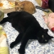 はちみつはっちゃん