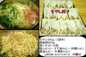 目からウロコのもやし餃子 レシピ 作り方 By Issaママ 楽天レシピ