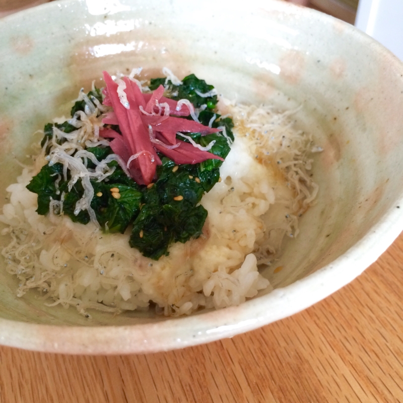 山芋とモロヘイヤのネバネバ丼