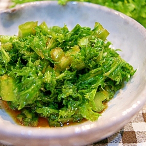 ちょっとしたコツでおいしく わさび菜のしょうゆ漬け レシピ 作り方 By Cota Cota 楽天レシピ ちょっとしたコツでおいしく わさび菜のしょうゆ漬け レシピ 作り方 By Cota Cota 楽天レシピ