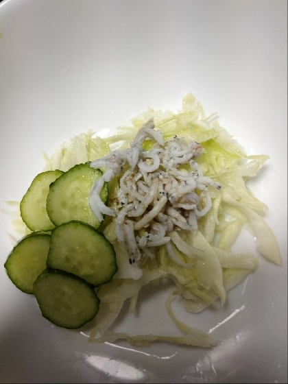 キャベツときゅうりとしらすのサラダ