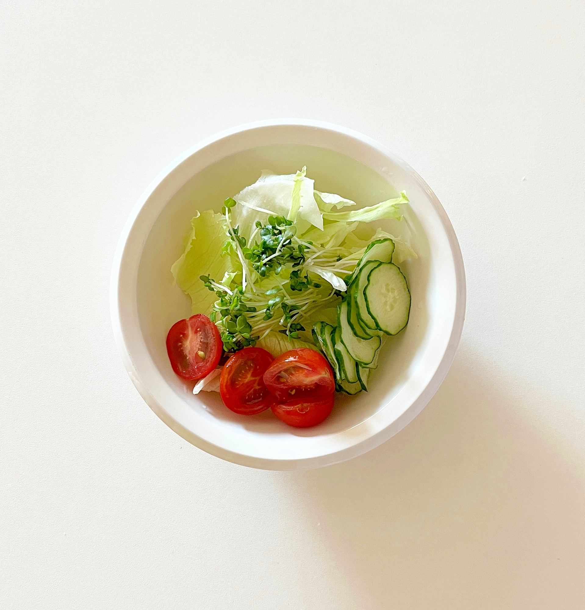 スプラウト入りサラダ