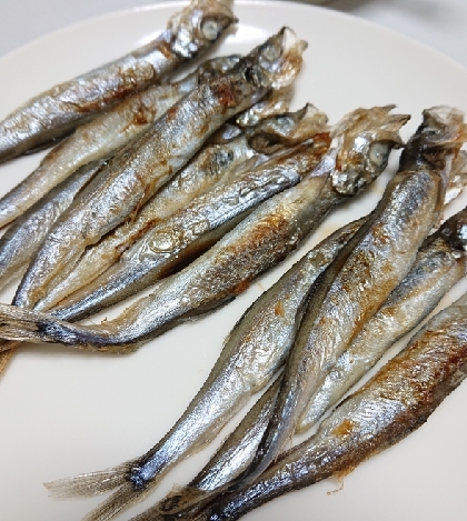 簡単！ジューシーししゃもの焼き方