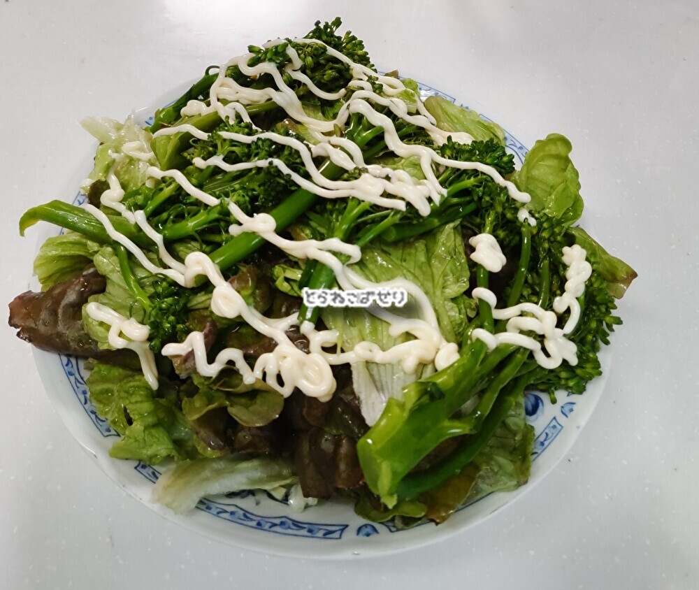 たっぷりレタスと☘️ブロッコリーのサラダ