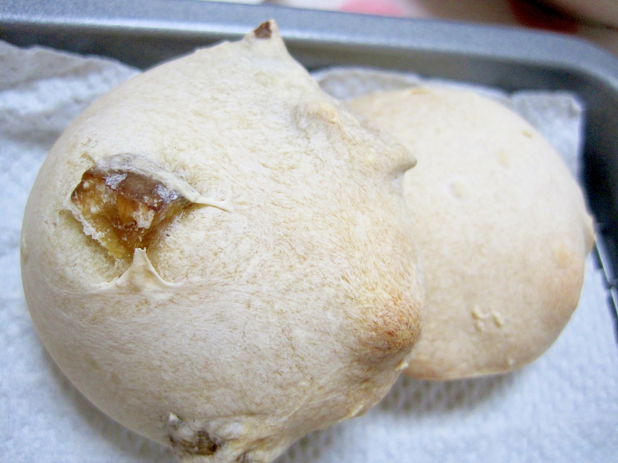 自家製酵母の甘栗パン