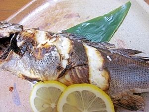 五島列島の いさき やっぱり 塩焼き が旨い レシピ 作り方 By Startrek 楽天レシピ 五島列島の いさき やっぱり 塩焼き が旨い レシピ 作り方 By Startrek 楽天レシピ