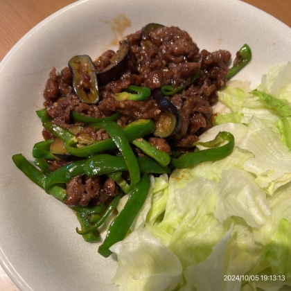 茄子と牛肉のオイスターソース炒め