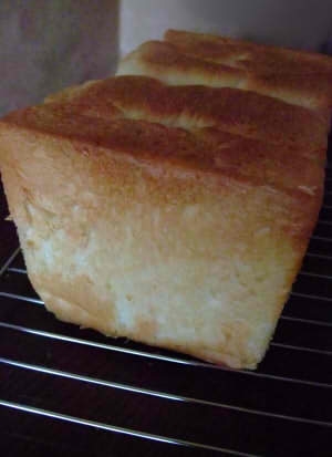 1.5斤　基本の食パン