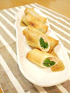 鮭とほうれん草のチーズ春巻き