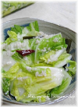 白菜の常備菜レシピ～塩麹で浅漬け～