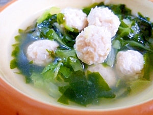 犬用 軟骨入り肉団子のスープ レシピ 作り方 By Jp S ビートル 楽天レシピ 犬用 軟骨入り肉団子のスープ レシピ 作り方 By Jp S ビートル 楽天レシピ