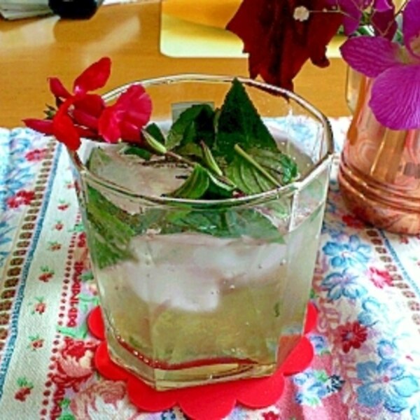 清涼感たっぷりのミントカクテル モヒート レシピ 作り方 By 麻呂0461 楽天レシピ 清涼感たっぷりのミントカクテル モヒート レシピ 作り方 By 麻呂0461 楽天レシピ