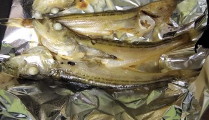 ハタハタの美味しい焼き方 フライパン レシピ 作り方 By 無添加手作り 家庭料理研究家 楽天レシピ ハタハタの美味しい焼き方 フライパン レシピ 作り方 By 無添加手作り 家庭料理研究家 楽天レシピ