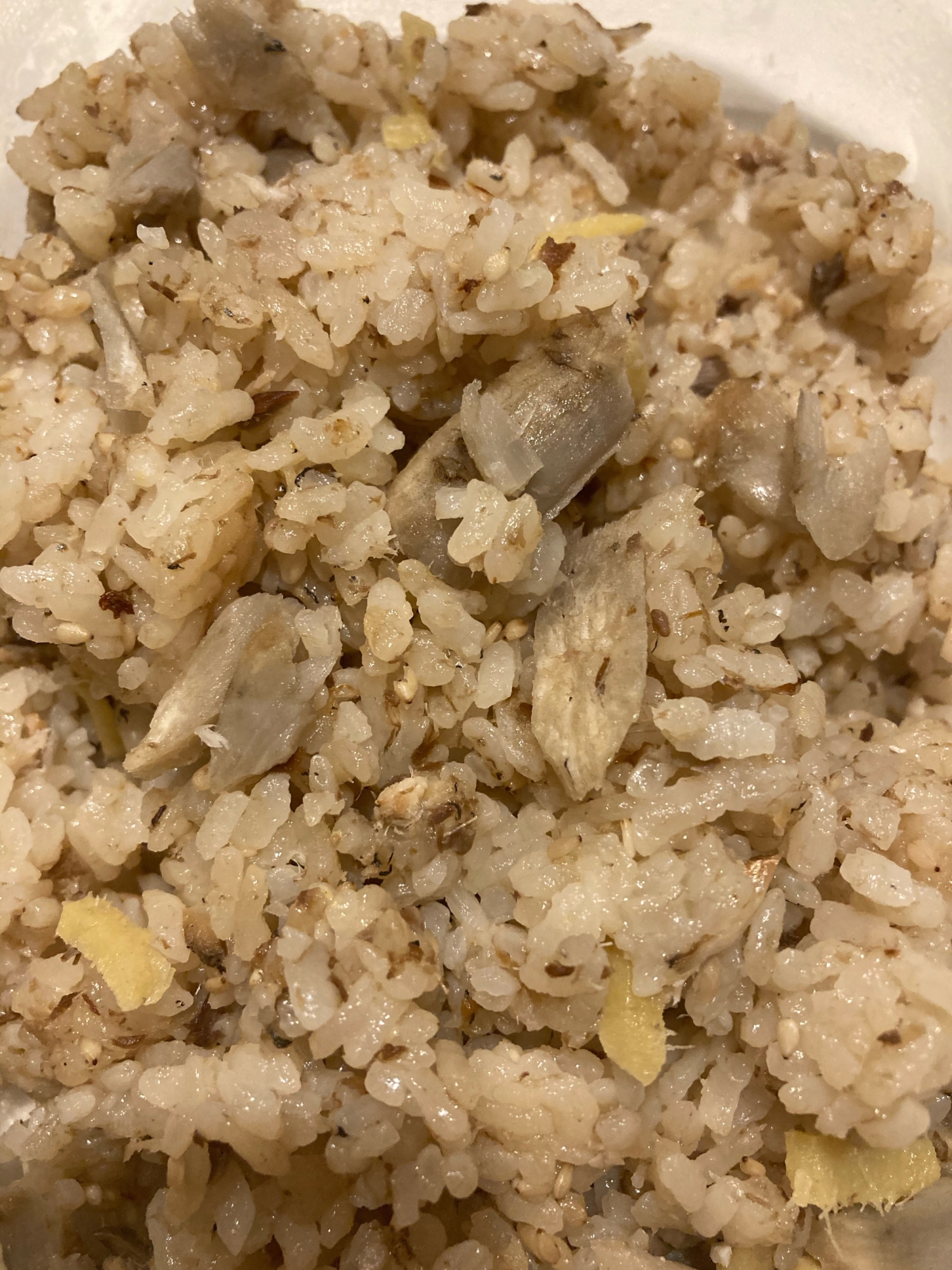 鰯の生姜煮とごぼうの炊き込みご飯