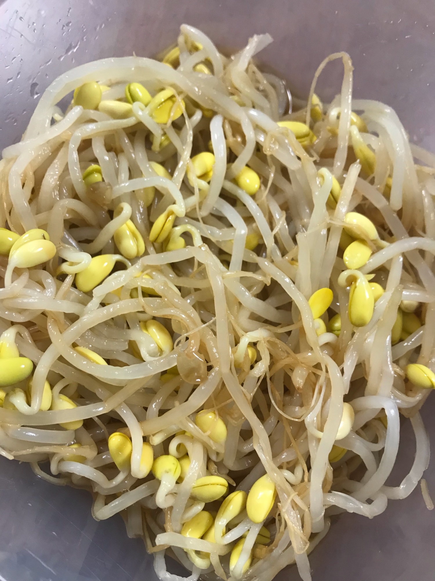 豆もやし様 チルドサラダもやし | イチビキ 公式サイト | 名古屋のみそ・しょうゆ