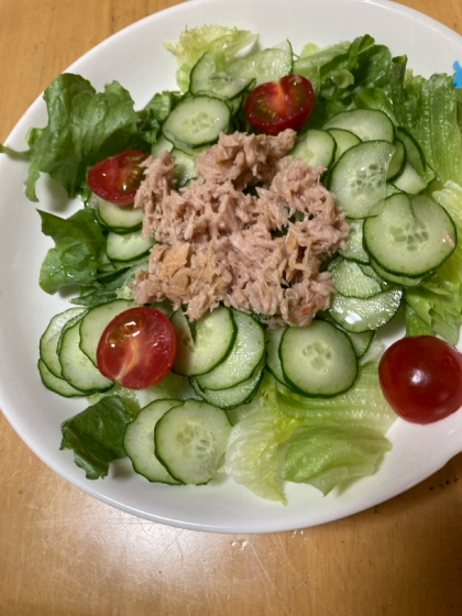レタス、トマト、きゅうり、ツナのサラダ