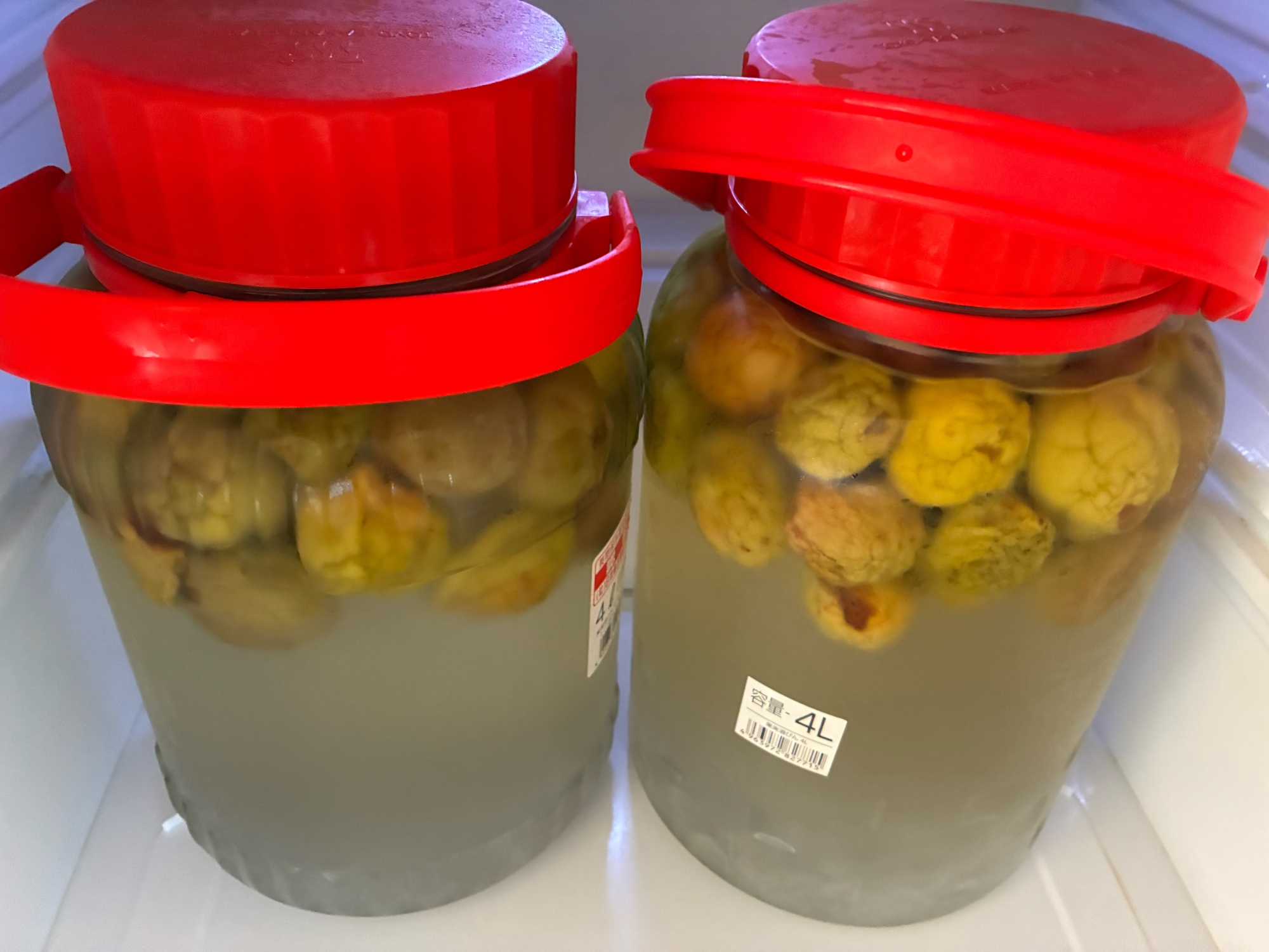 梅シロップ(豊後梅)