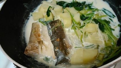鮭のミルクスープ