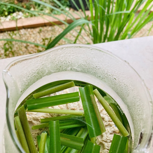 ハーブティー レモングラスティー レシピ 作り方 By ちぇりcook 楽天レシピ ハーブティー レモングラスティー レシピ 作り方 By ちぇりcook 楽天レシピ