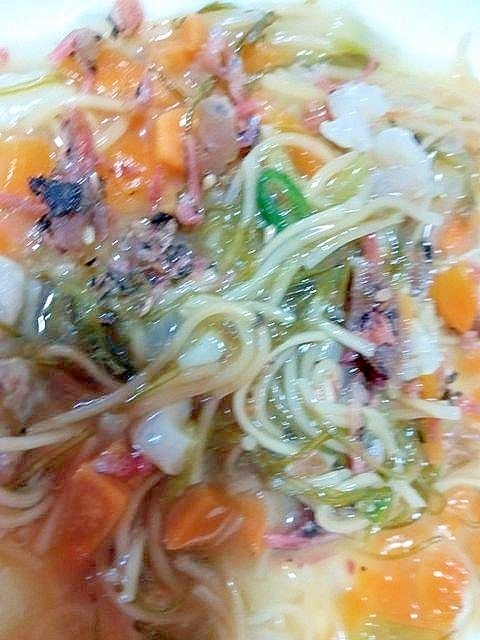 梅ちりめん入り具たくさん皿うどん