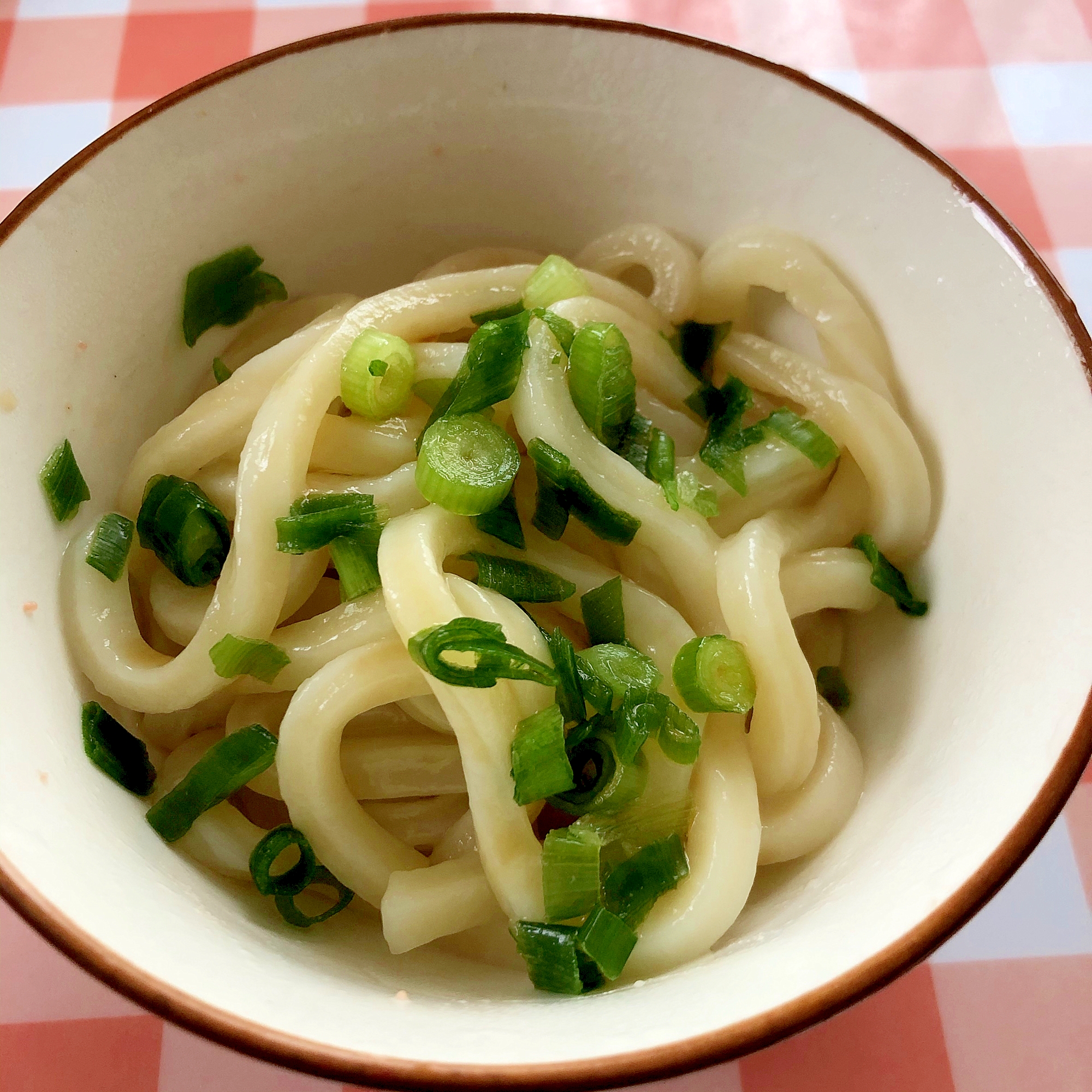 ネギと生姜のうどん