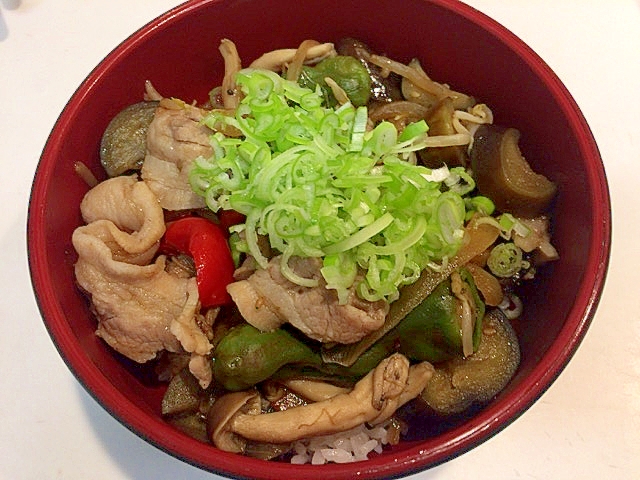 食欲不振もぶっ飛びます☆具沢山ハイパー野菜炒め丼