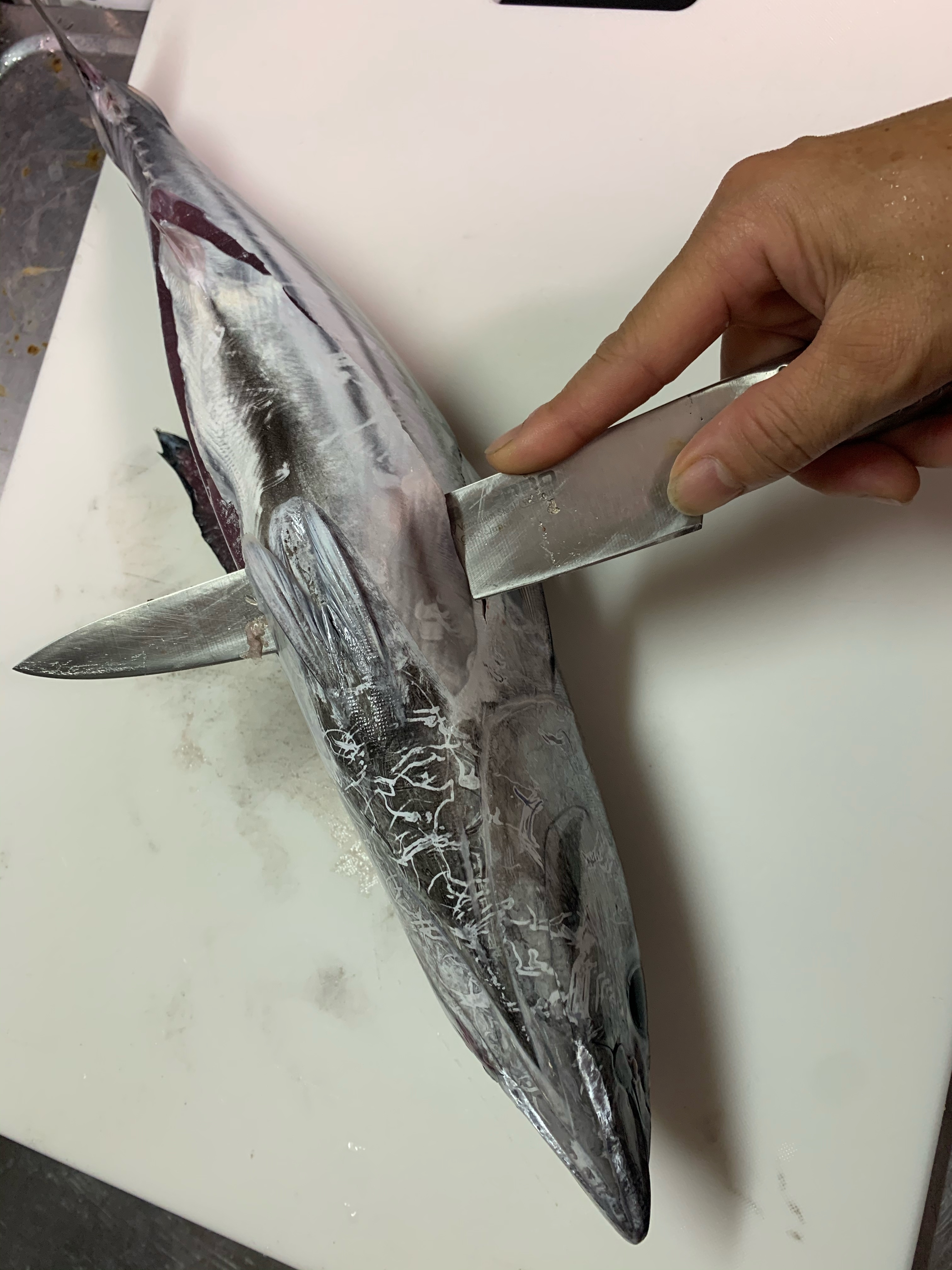 簡単で本格派 カツオの捌き方 レシピ 作り方 By 魚魚まんま 楽天レシピ 簡単で本格派 カツオの捌き方 レシピ 作り方 By 魚魚まんま 楽天レシピ