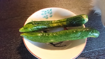 丸ごとポリポリ食べました(人´∀`*)