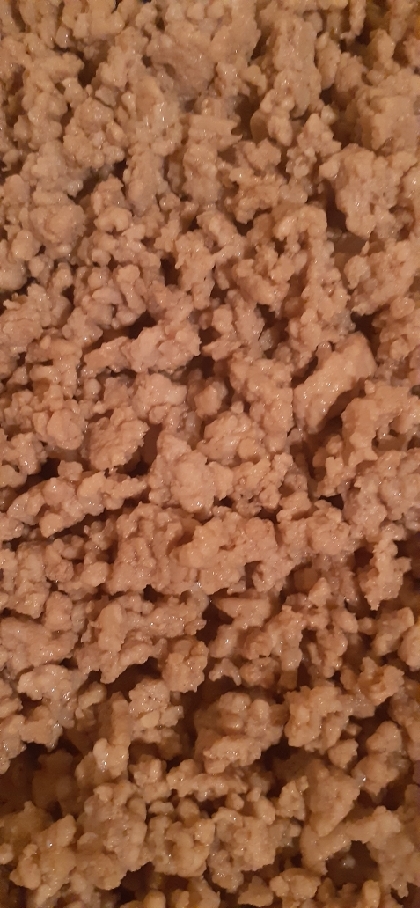 焼きそば用粉末ソース★豚そぼろ