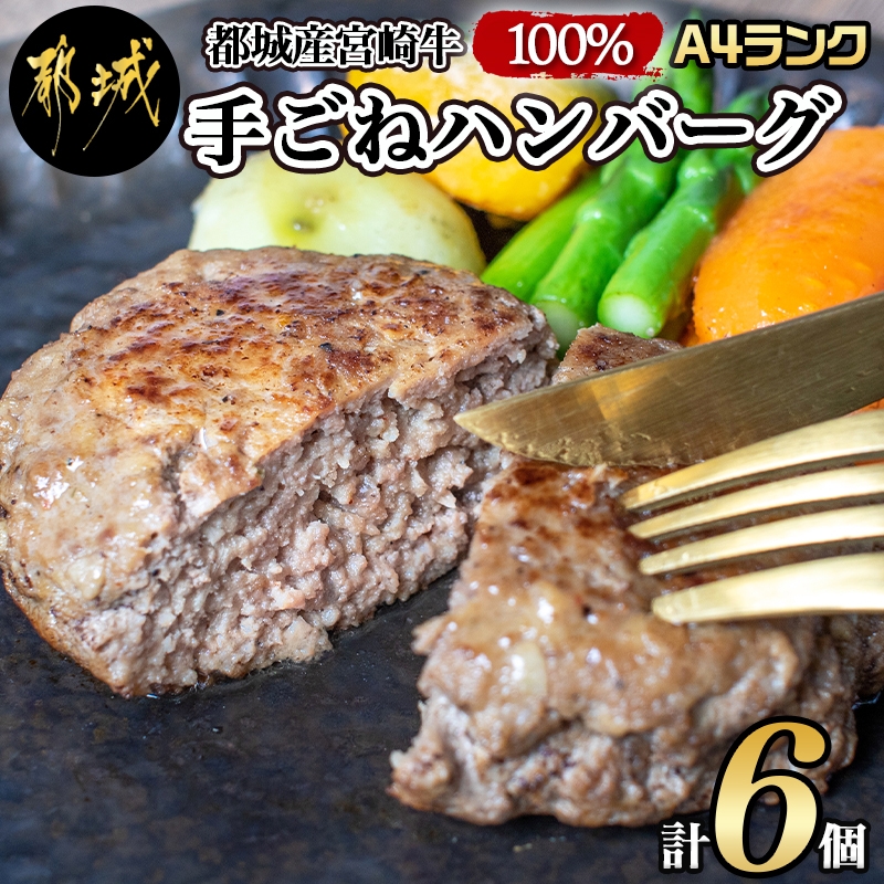 宮崎牛100％手ごねハンバーグ6個