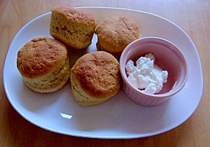 ヨーグルトスコーン　禅食入り