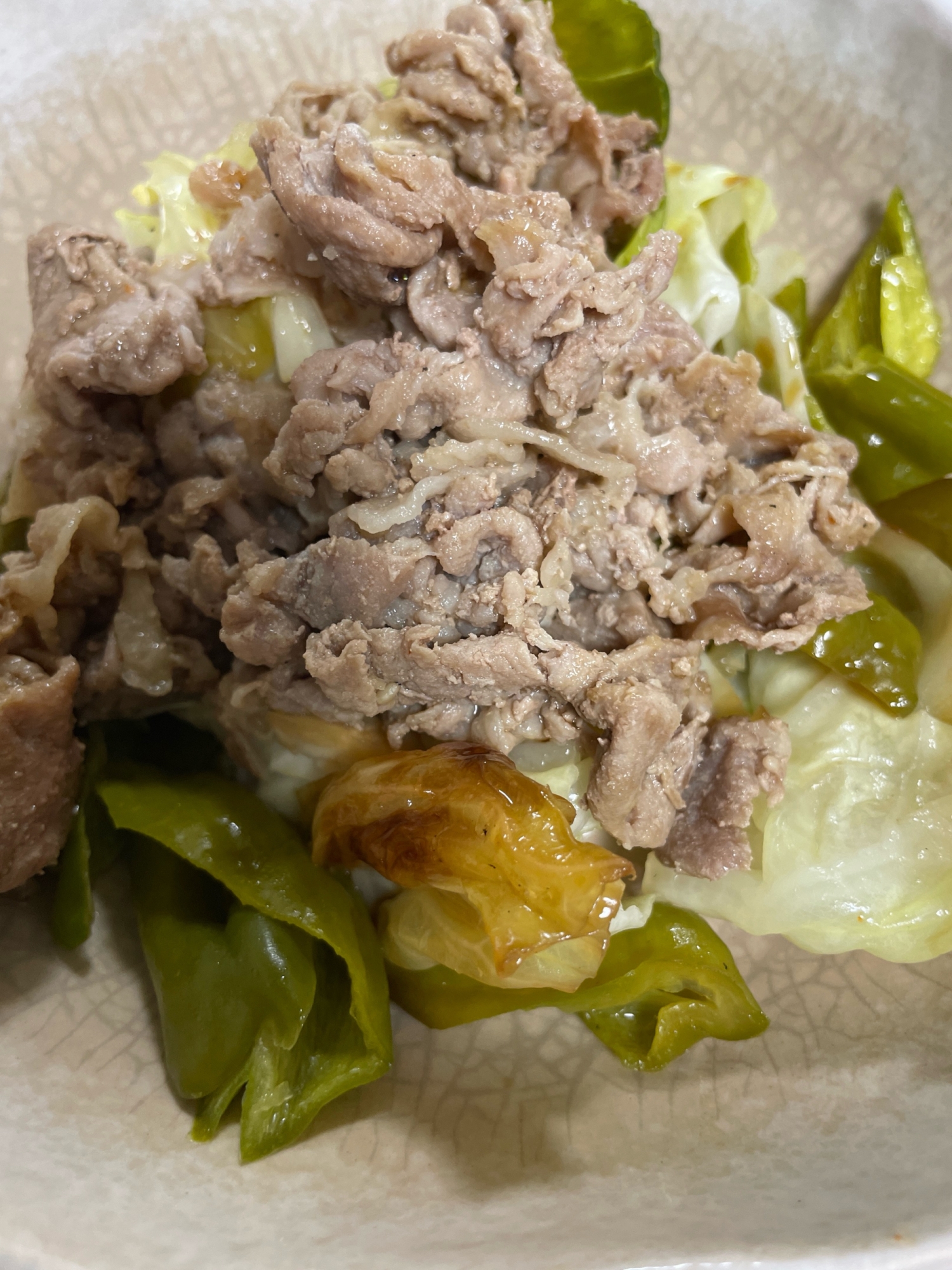 豚肉とキャベツ炒めもの(生姜、味噌)