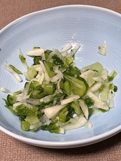 ★すぐ食べられる！白だしで白菜の浅漬け　白菜漬け★