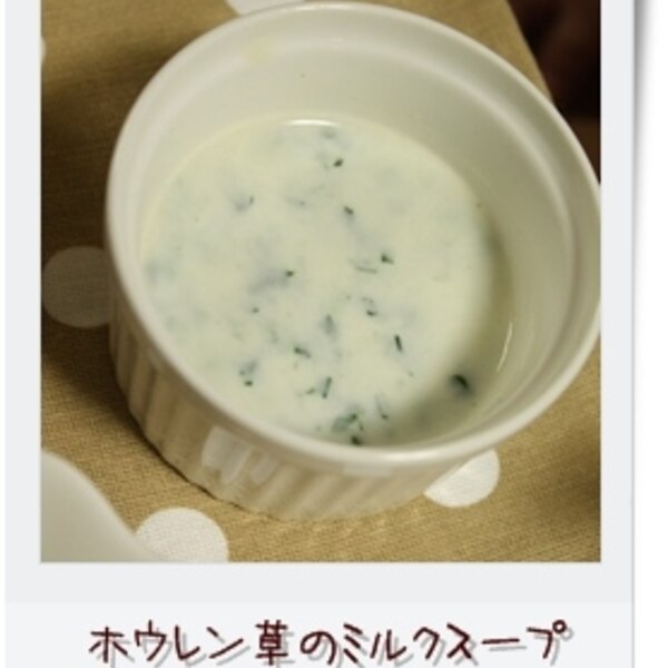 離乳食 中期もぐもぐ期 ホウレン草のミルクスープ レシピ 作り方 By Pidamun 楽天レシピ 離乳食 中期もぐもぐ期 ホウレン草のミルクスープ レシピ 作り方 By Pidamun 楽天レシピ