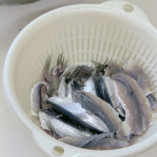 カタクチイワシの手開きの方法 レシピ 作り方 By Chika 釣るんじゃけぇ 楽天レシピ カタクチイワシの手開きの方法 レシピ 作り方 By Chika 釣るんじゃけぇ 楽天レシピ